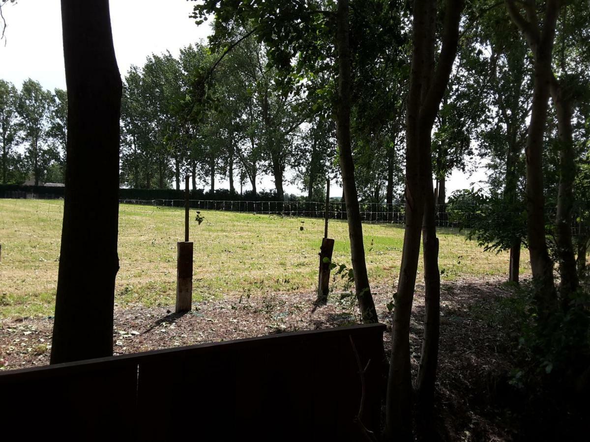 De Steenakker Hansbeke Luaran gambar